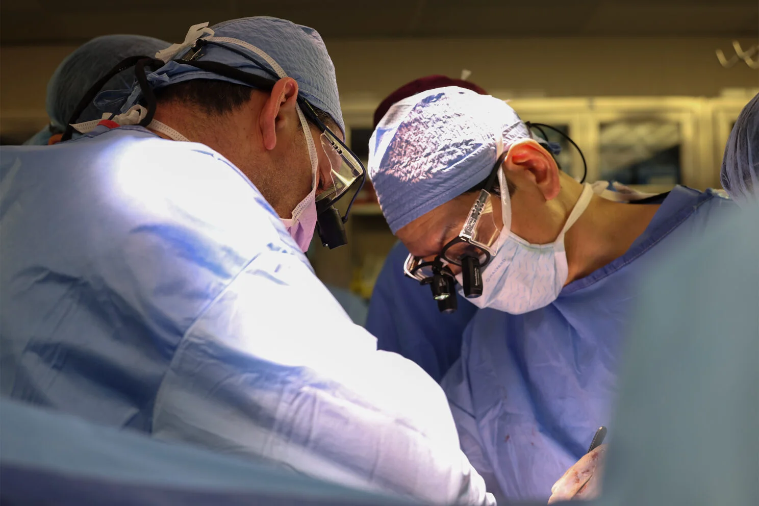 Gene-edited pig kidney transplanted into first living human patient - Vimarsana News