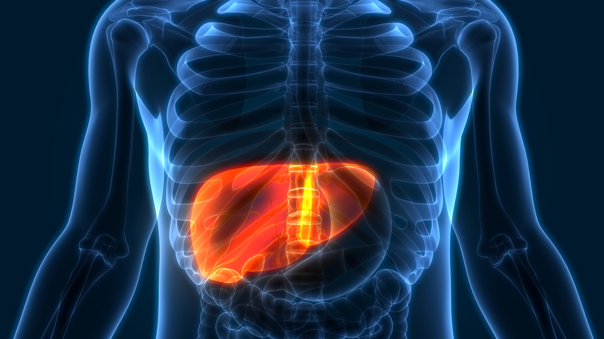 New clues point to the liver playing a causal role in type 2 diabetes - Vimarsana News