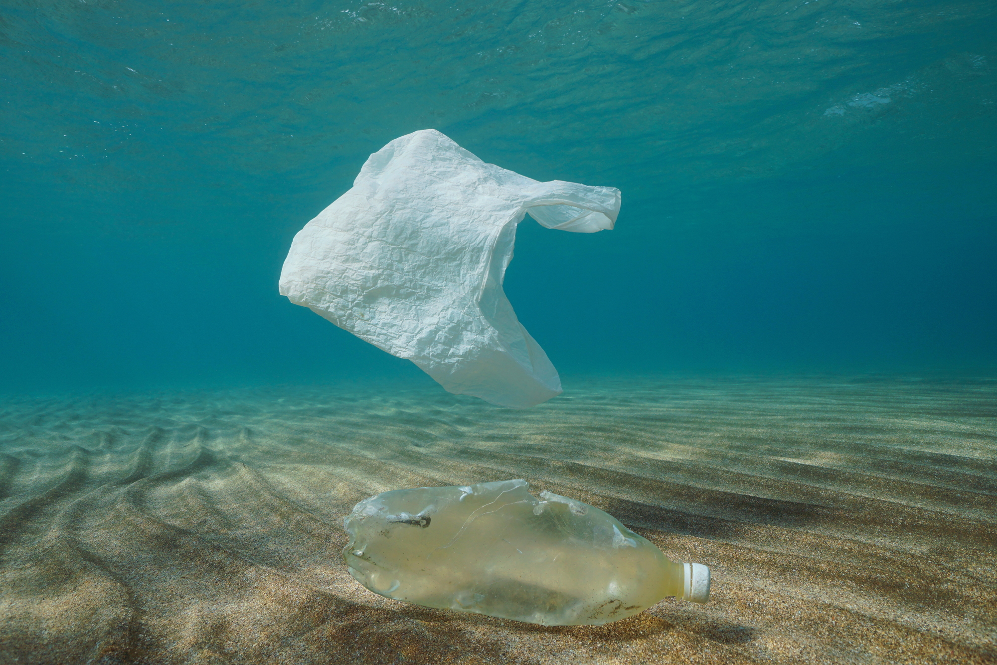 Sediment samples show how deep-sea trenches can act as "plastic traps" - Vimarsana News