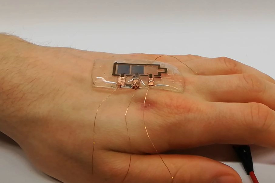 Biodegradable electronic display designed to help minimize e-waste - Vimarsana News